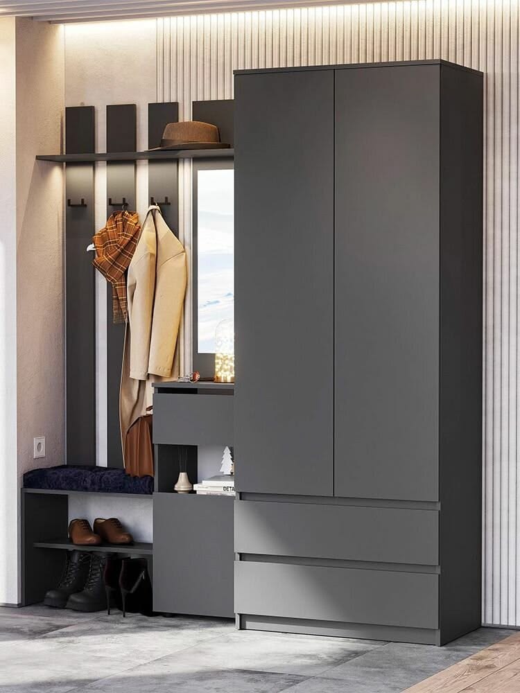 Dəhliz dolabı sadə